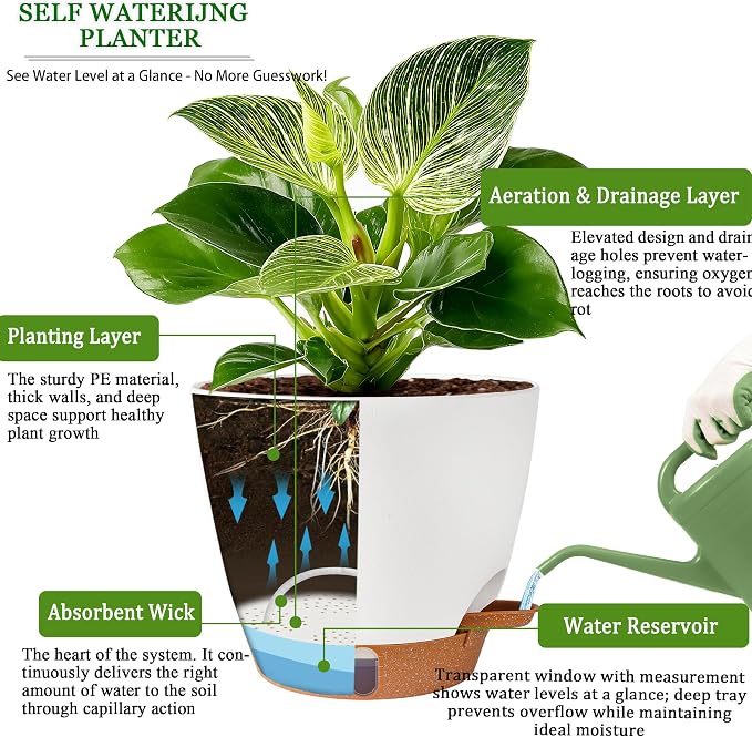 Self Watering Pots for Inoor Ourdoor Plants 10/9/8/7/6.5" Plastic Planters | - Image 6