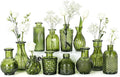 Mini Bud Vases Centerpieces for Tables, Small Flower Vases Suitable for by Unknown