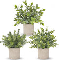 Der Rose 3 Pack Fake Plants Artificial Plants by DerRose