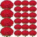 VEVOR Artificial Flowers, Faux Red Bridal Shower by VEVOR