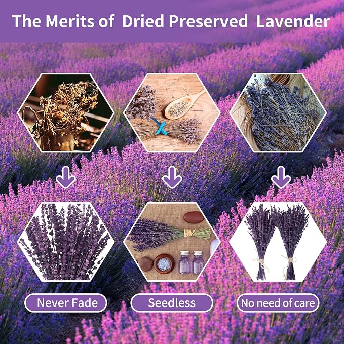 Glicrili Dried Lavender Flowers Real Stems Purple Bouquet - Image 2