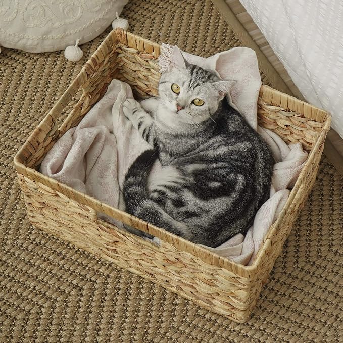 StorageWorks Wicker Baskets for Storage, Wicker Storage Baskets, Large Wicker - Image 9