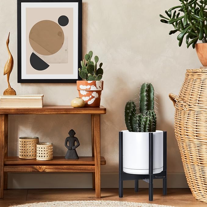 D'vine Dev Ceramic Pot with Ebony Wood Stand, 10 in, 55-B-L-1 | Mid-Century - Image 6