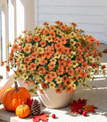 florisso Artificial Fall Flowers Fake Mums by florisso