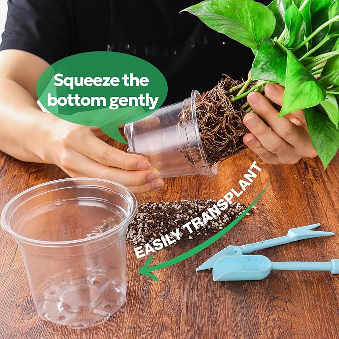 Bluepro Clear Nursery Pots - Image 5