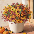 INQCMY Artificial Fall Flowers for Outdoor Porch Decoration by INQCMYPlantRack