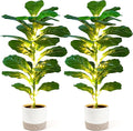Der Rose 2 Pack 30" Artificial Plants by DerRose