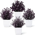 Der Rose 4 Pack Purple Fake Plants in Pots by DerRose