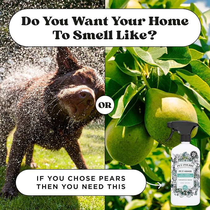 Pet-Pourri Pawsitively Fresh Pet Odor Deodorizer Candle, Burns Up to 45 Hours - Image 8