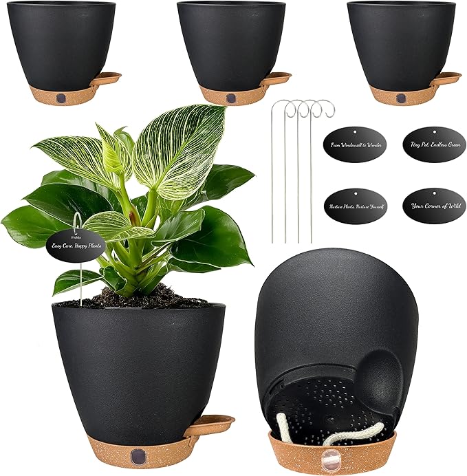 6" Self Watering Pots for Indoor Plants, Small Plastic Planters | Water Level by Fielda