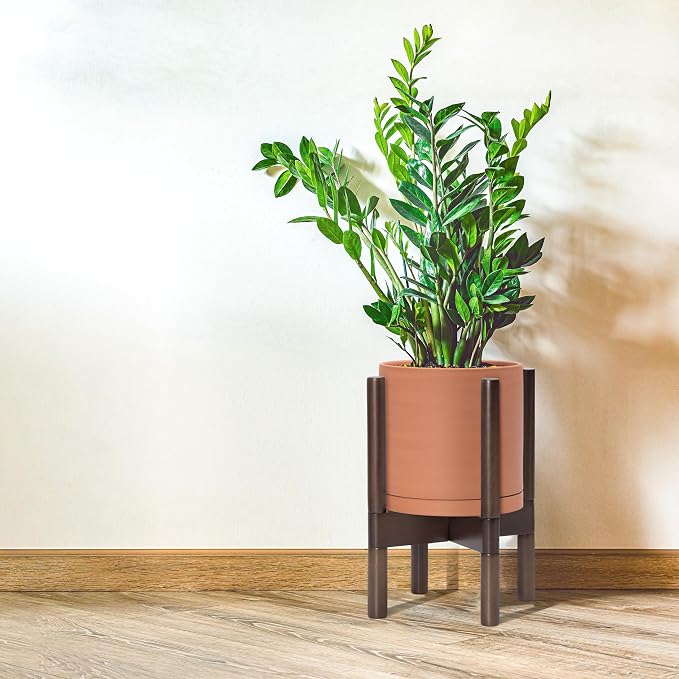 D'vine Dev Terracotta Pot with Walnut Wood Stand, 8 in, 55-B-Y-5 | Mid-Century - Image 2