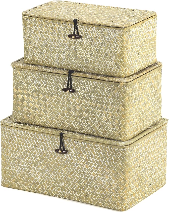 Nonam Wicker Storage Basket by Home