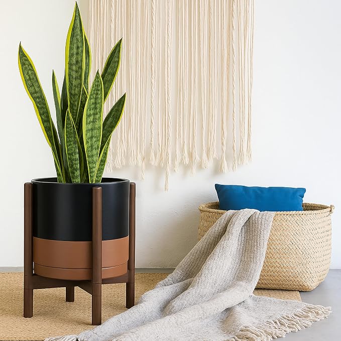 D'vine Dev Ceramic Pot with Walnut Wood Stand, 12 in, 55-B-W-7 | Mid-Century - Image 6