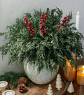 Cedar Stems Artificial Norfolk Pine Branches by Ivydale