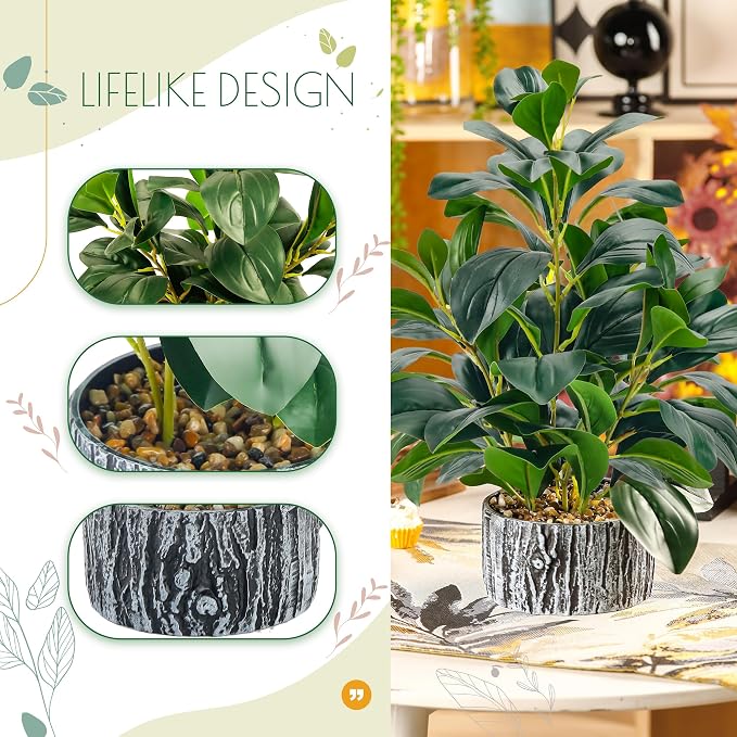 Der Rose 15.7" 2Pcs Faux Money Leaf Plants Indoor - Image 4