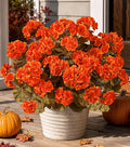 Fake Geraniums Artificial Flowers by HyeFloraartificialflowers
