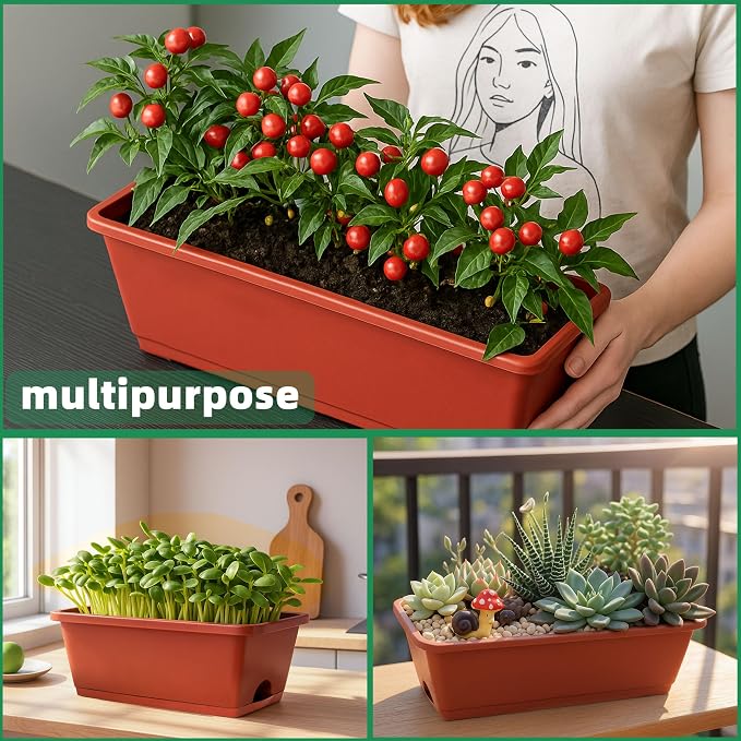 LOCONHA 12 Pack Window Box Planter, Plastic Vegetable Flower Planters Boxes | - Image 6