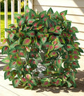 Fake Plants Artificial Hanging Plants by Ivydale