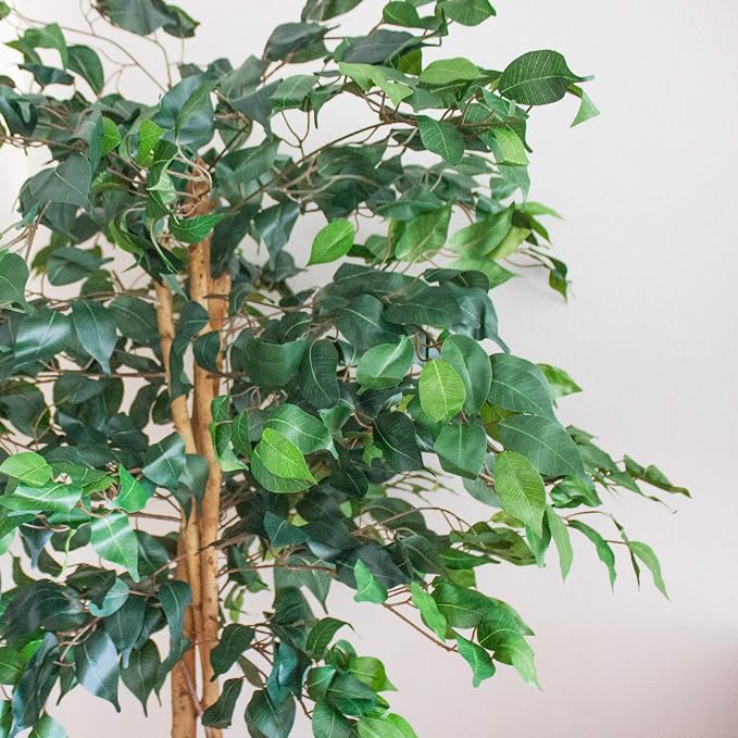 Nearly Natural 5ft Artificial Ficus Tree, Triple Trunk Faux Greenery - Image 3