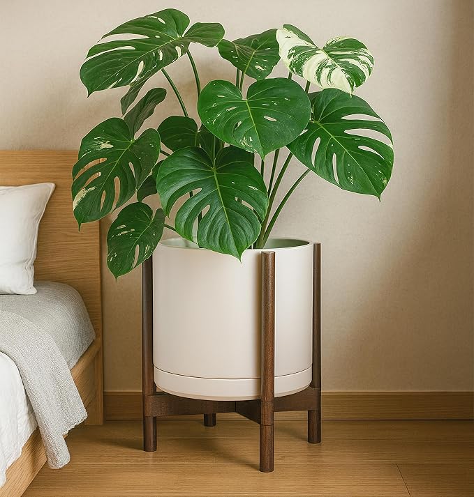 D'vine Dev Ceramic Pot with Walnut Wood Stand, 14 in, 55-B-T-8 | Mid-Century - Image 4