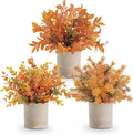 Der Rose 3 Pack Fake Plants Warm Orange Faux Plants by DerRose