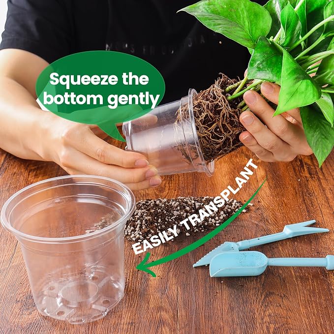Bluepro Clear Nursery Pots - Image 5