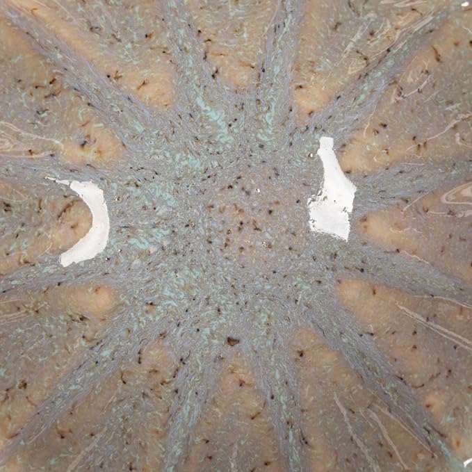 Creative Co-Op 4-Piece Stoneware Flower Shaped Bowl Set in Reactive Glaze - Image 4