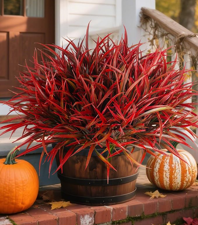 Ivydale 12Pcs Artificial Plants Outdoor Fake Plastic Grass Fall Decoration UV by Ivydale