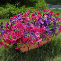 Artificial Flowers for Outdoors Fake Plants Outside Decoration, 12 Bundles Silk by HyeFloraartificialflowers