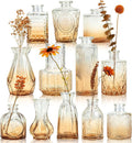 Der Rose 12pcs Glass Bud Vases, Amber Vases by DerRose