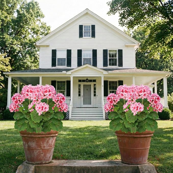 FOREST PRINCE 18"Artificial Geraniums - Image 4