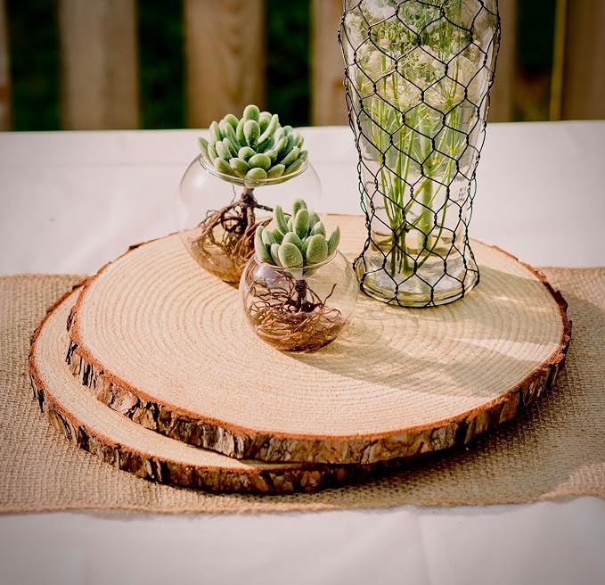 Set of 10 Large Wood Slices – Rustic Wooden Rounds - Image 3