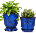Gepege Ceramic Plant Pots, 6 Inch Indoor Planters by Gepege