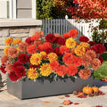 Artificial Mums for Outdoors Fall Flowers Artificial for Decoration, 12 Bundles by HyeFloraartificialflowers