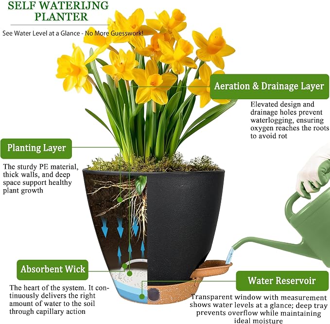 6" Self Watering Pots for Indoor Plants, Small Plastic Planters | Water Level - Image 8