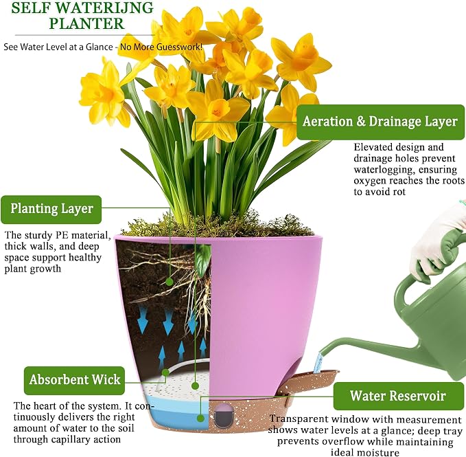 6 Inch Small Self Watering Pots - Image 3