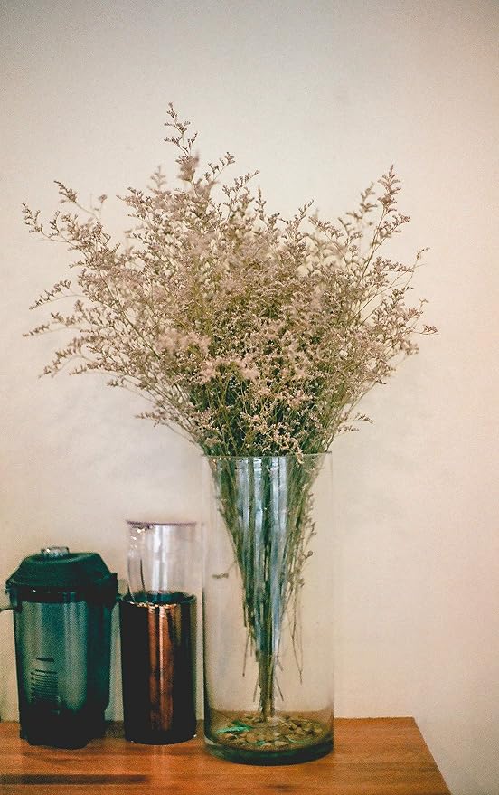 WGV Cylinder Vase, Width 7", Height 12", Floral Container, Planter Terrarium - Image 6