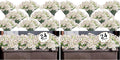 ColoPlay 24 White Bundles Artificial Flowers by ColoPlay