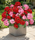 Artificial Geraniums Fake Flowers by HyeFloraartificialflowers
