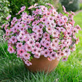 florisso Artificial Flowers for Outdoors Daisy 12 Bundles for Decor | Faux by florisso