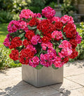Artificial Geranium Fake Flowers by HyeFloraartificialflowers