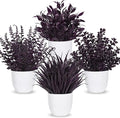 Der Rose 4 Pack Purple Artificial Plants in Pots, Halloween Fall Decor | by DerRose