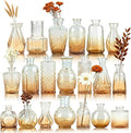 Der Rose 20pcs Glass Bud Vases, Amber Vases by DerRose