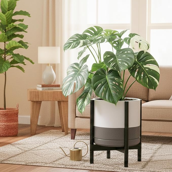 D'vine Dev Ceramic Pot with Ebony Wood Stand, 14 in, 55-B-S-6 | Mid-Century - Image 2
