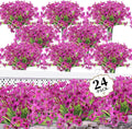 ColoPlay 24Bundles Light Purple Artificial Flowers by ColoPlay