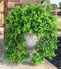 Faux Outdoor Plants Fake Hanging Plants by Ivydale