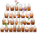 Der Rose 30pcs Glass Bud Vases, Amber Vases by DerRose