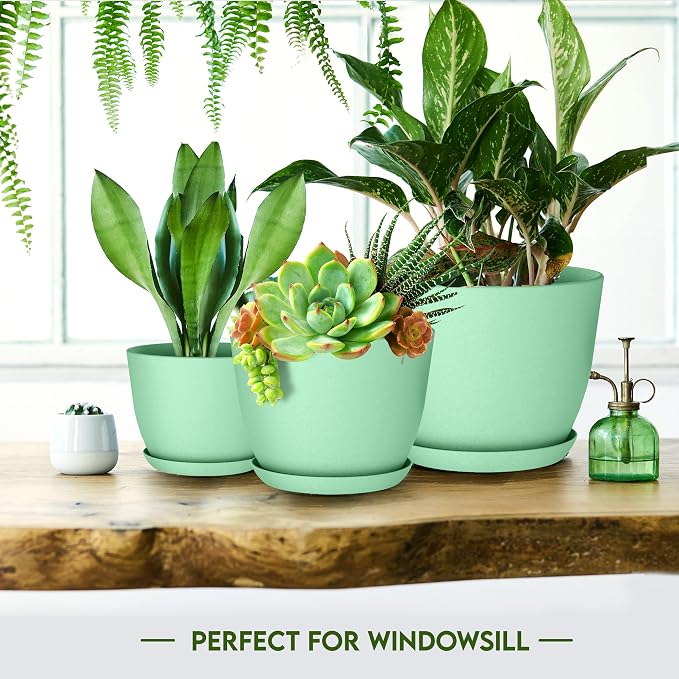 Plant Pots Indoor with Drainage, 10 Pack Multi-Size Planters Set, Mint | - Image 6
