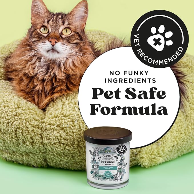 Pet-Pourri Pawsitively Fresh Pet Odor Deodorizer Candle, Burns Up to 45 Hours - Image 4