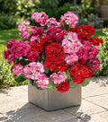 Artificial Geraniums Fake Flowers by HyeFloraartificialflowers